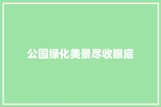 公园绿化美景尽收眼底 林木育苗
