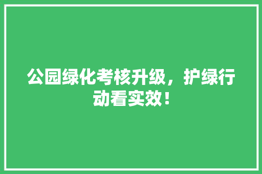 公园绿化考核升级，护绿行动看实效！