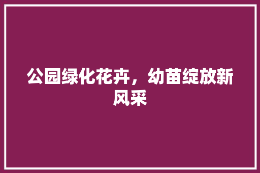 公园绿化花卉，幼苗绽放新风采