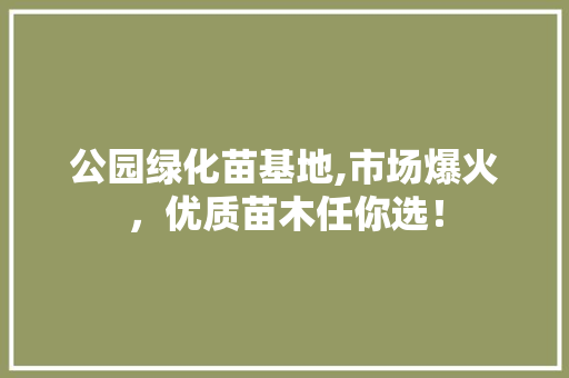 公园绿化苗基地,市场爆火，优质苗木任你选！