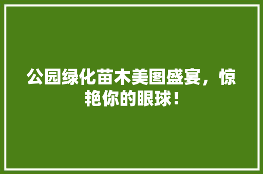 公园绿化苗木美图盛宴，惊艳你的眼球！