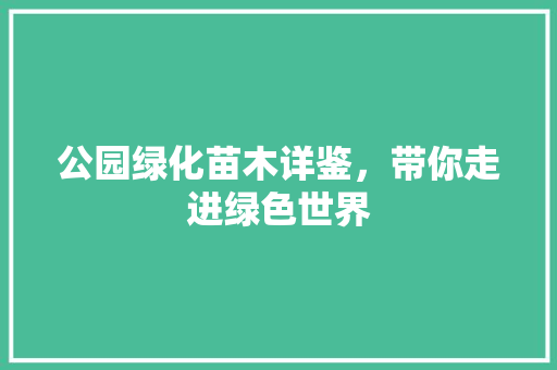公园绿化苗木详鉴，带你走进绿色世界