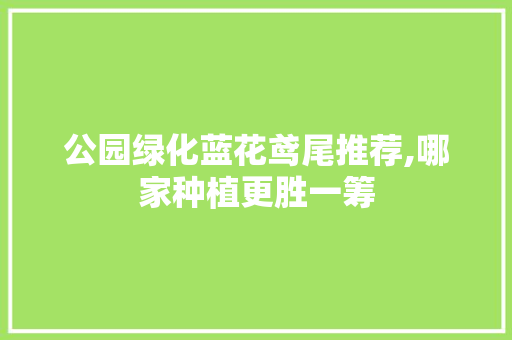 公园绿化蓝花鸢尾推荐,哪家种植更胜一筹