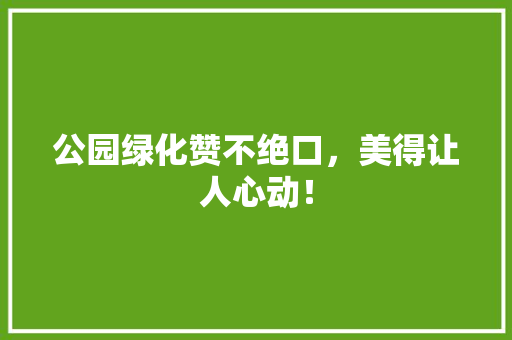 公园绿化赞不绝口，美得让人心动！