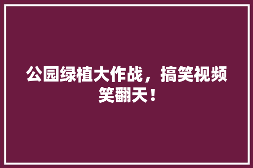 公园绿植大作战，搞笑视频笑翻天！