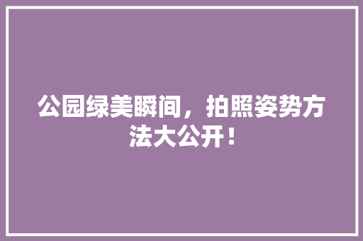 公园绿美瞬间，拍照姿势方法大公开！