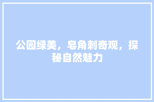 公园绿美，皂角刺奇观，探秘自然魅力