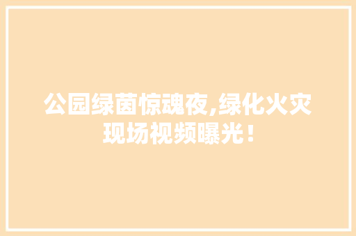 公园绿茵惊魂夜,绿化火灾现场视频曝光！