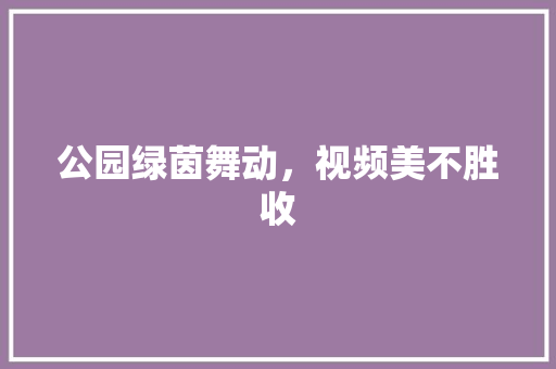 公园绿茵舞动，视频美不胜收