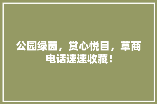 公园绿茵，赏心悦目，草商电话速速收藏！