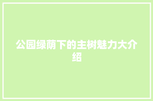公园绿荫下的主树魅力大介绍 有机育苗