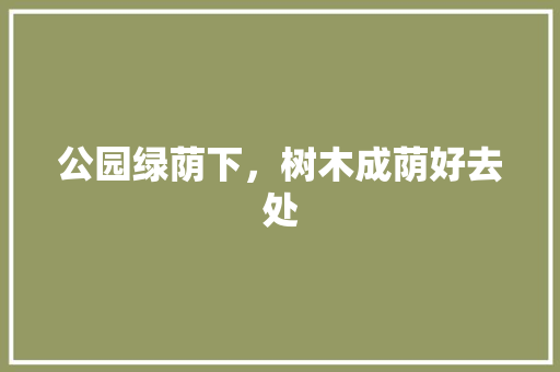 公园绿荫下，树木成荫好去处