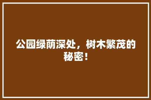 公园绿荫深处，树木繁茂的秘密！