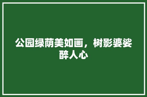 公园绿荫美如画，树影婆娑醉人心