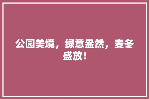 公园美境，绿意盎然，麦冬盛放！