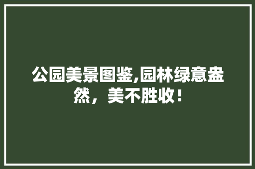 公园美景图鉴,园林绿意盎然，美不胜收！