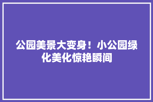 公园美景大变身！小公园绿化美化惊艳瞬间
