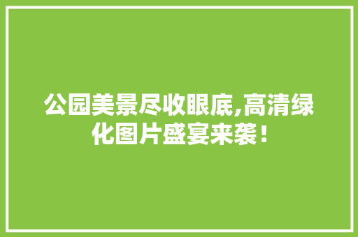 公园美景尽收眼底,高清绿化图片盛宴来袭！