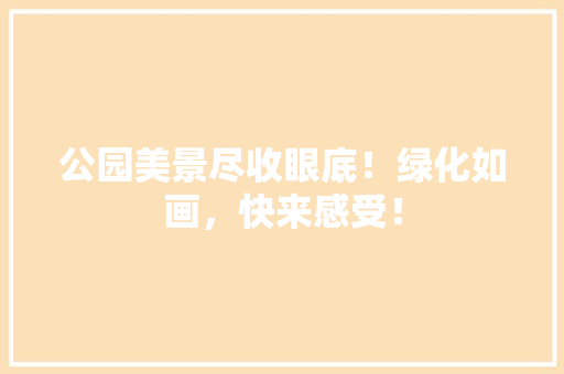 公园美景尽收眼底！绿化如画，快来感受！