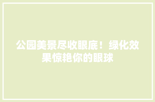 公园美景尽收眼底！绿化效果惊艳你的眼球