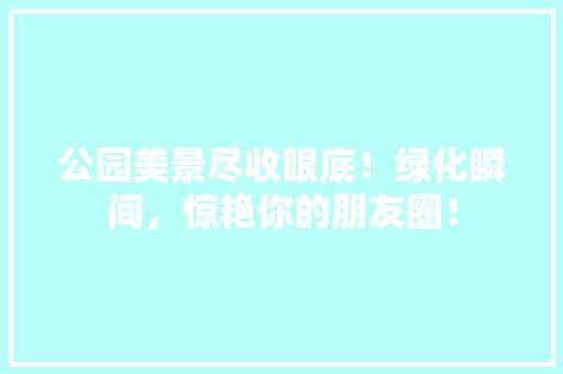 公园美景尽收眼底！绿化瞬间，惊艳你的朋友圈！