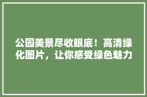 公园美景尽收眼底！高清绿化图片，让你感受绿色魅力！