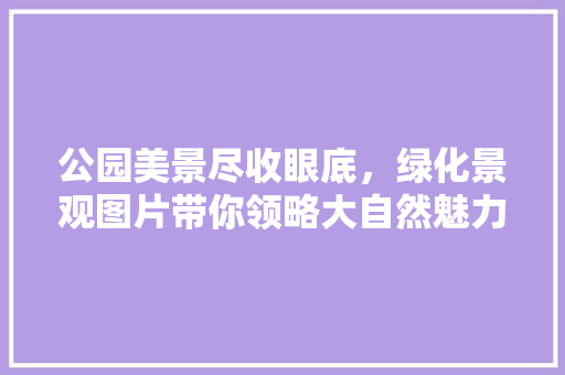公园美景尽收眼底，绿化景观图片带你领略大自然魅力！