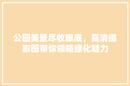 公园美景尽收眼底，高清摄影图带你领略绿化魅力