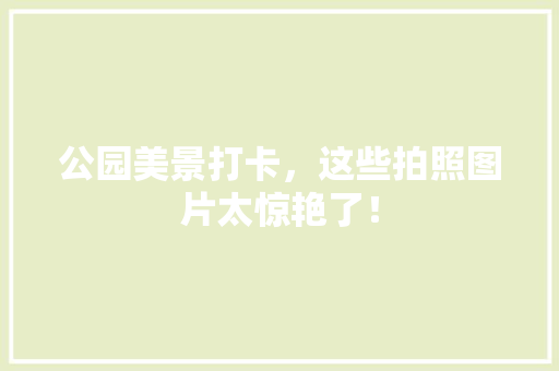 公园美景打卡，这些拍照图片太惊艳了！