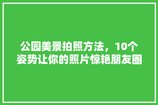公园美景拍照方法，10个姿势让你的照片惊艳朋友圈！