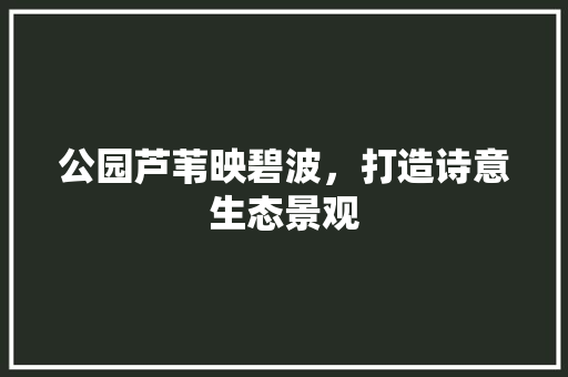 公园芦苇映碧波，打造诗意生态景观 无土育苗