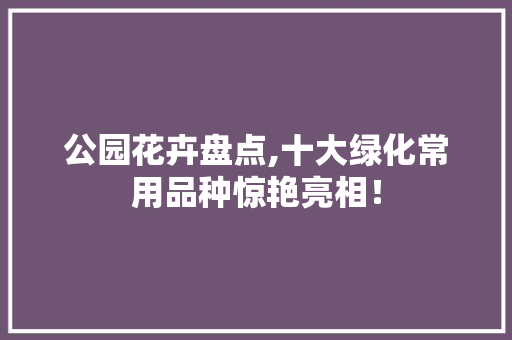 公园花卉盘点,十大绿化常用品种惊艳亮相！