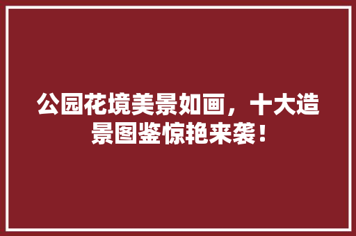 公园花境美景如画，十大造景图鉴惊艳来袭！