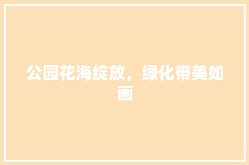 公园花海绽放，绿化带美如画