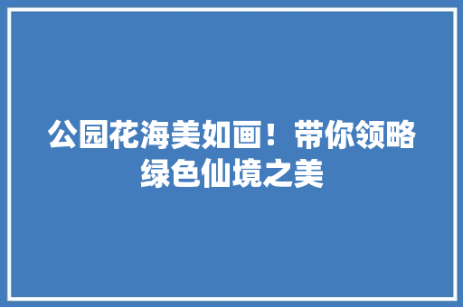 公园花海美如画！带你领略绿色仙境之美