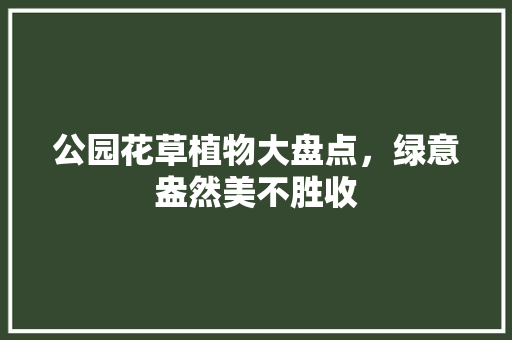 公园花草植物大盘点，绿意盎然美不胜收