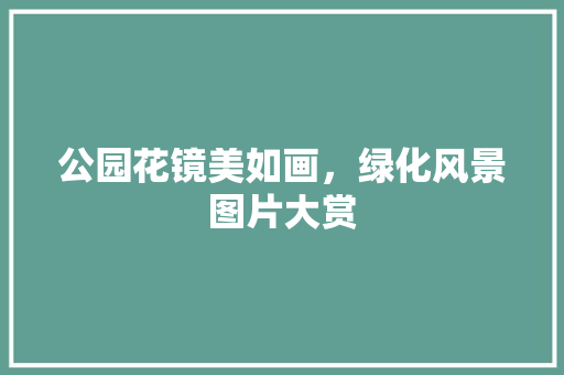 公园花镜美如画，绿化风景图片大赏