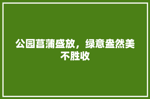 公园菖蒲盛放，绿意盎然美不胜收 温室育苗