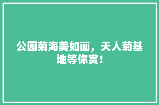 公园菊海美如画，天人菊基地等你赏！