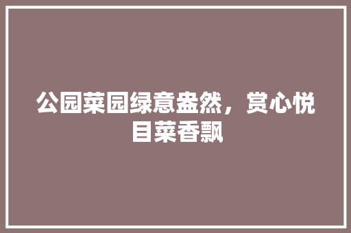 公园菜园绿意盎然，赏心悦目菜香飘