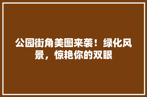 公园街角美图来袭！绿化风景，惊艳你的双眼