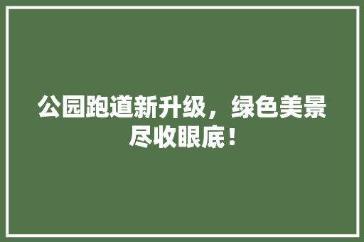 公园跑道新升级，绿色美景尽收眼底！