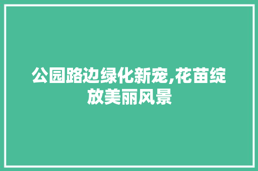 公园路边绿化新宠,花苗绽放美丽风景