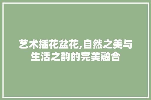 艺术插花盆花,自然之美与生活之韵的完美融合 温室育苗