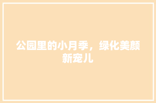 公园里的小月季，绿化美颜新宠儿