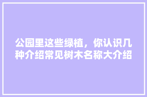 公园里这些绿植，你认识几种介绍常见树木名称大介绍！