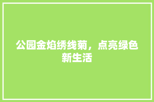公园金焰绣线菊，点亮绿色新生活