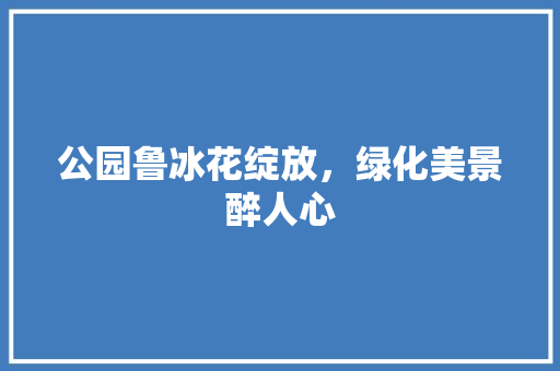 公园鲁冰花绽放，绿化美景醉人心