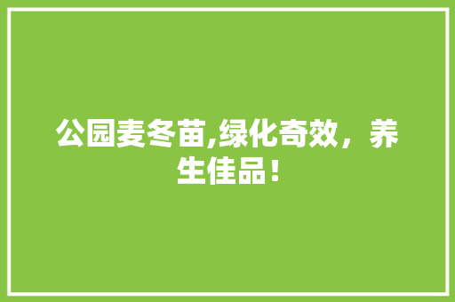 公园麦冬苗,绿化奇效，养生佳品！