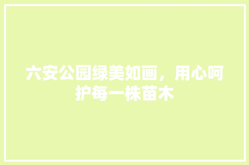 六安公园绿美如画，用心呵护每一株苗木